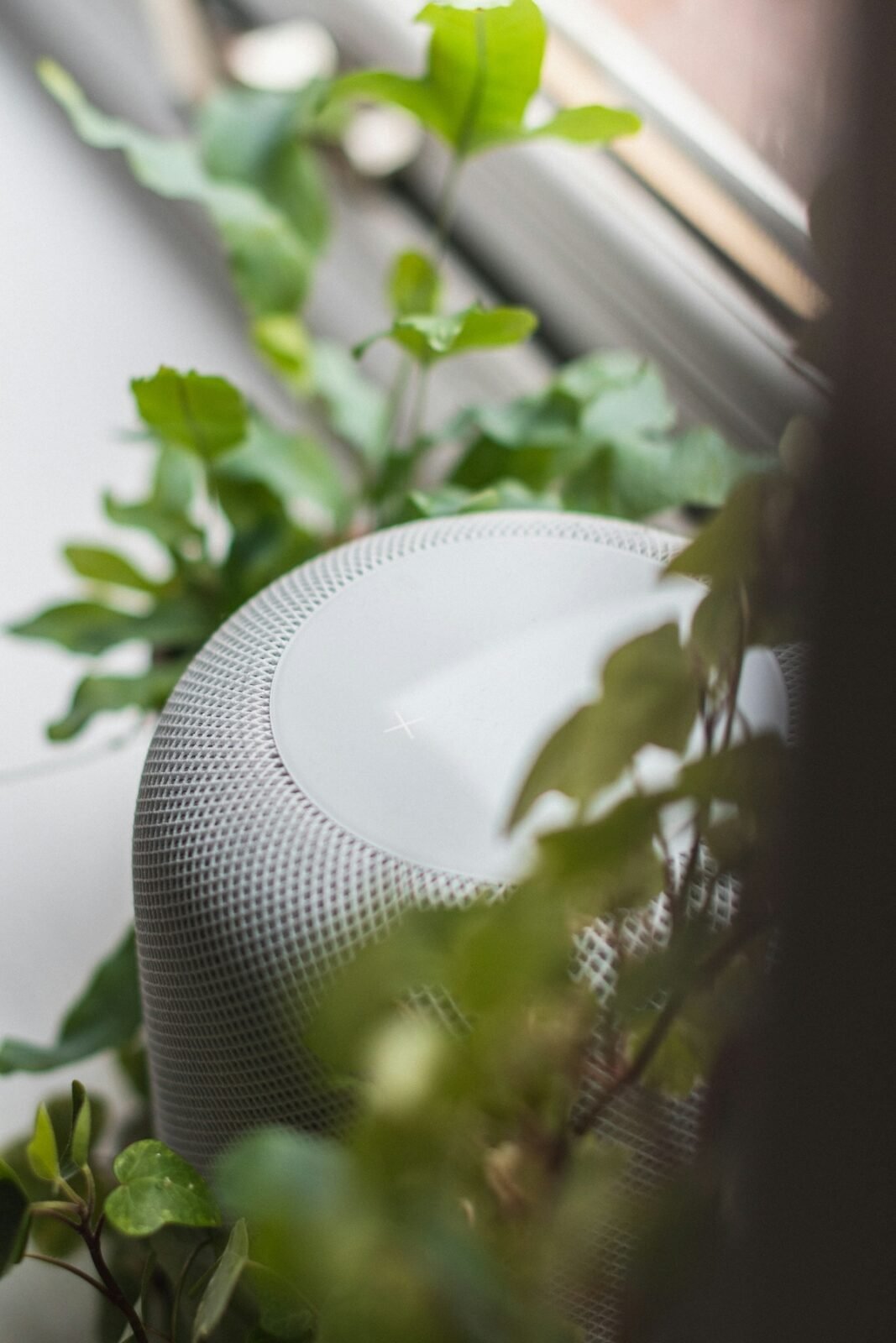 HomePod głośnik Apple