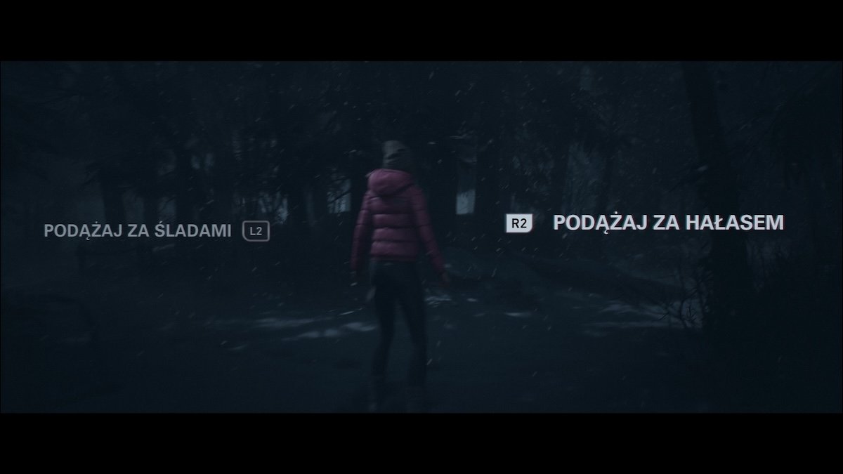 Until Dawn Remake