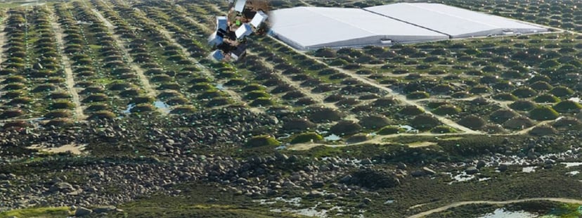 Czarne dziury rozwiązują zagadkę promieni ostrzeliwujących Ziemię. Przełom nastąpił po 7 dekadach