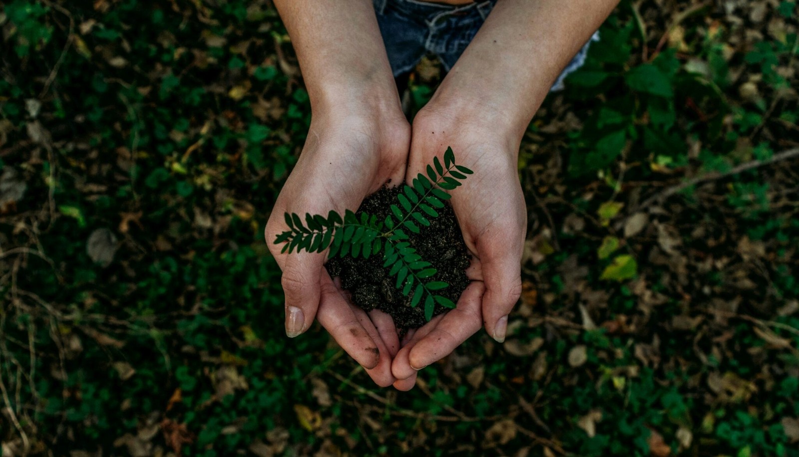 Emocje biorą górę nad rozumem w sprawie energetyki. Badacze zdradzają, co myślą dziesiątki tysięcy osób