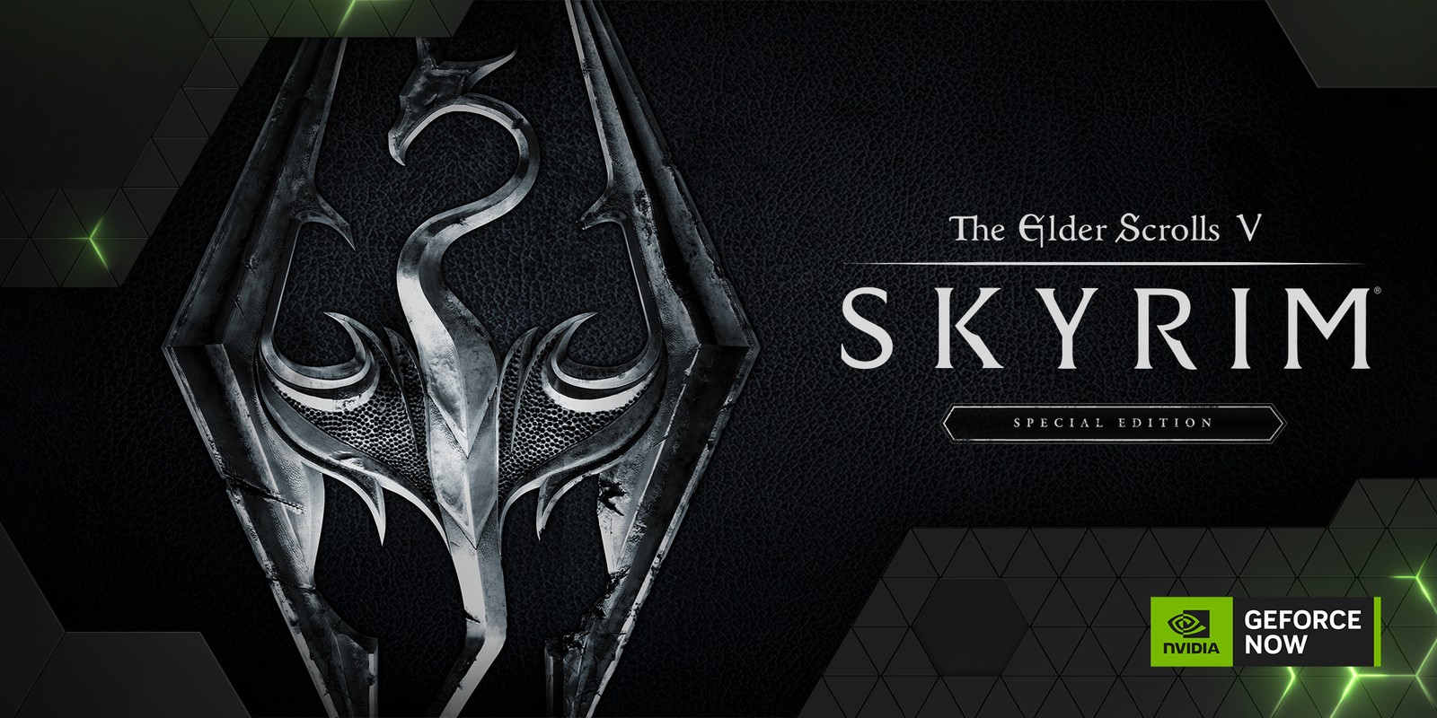 The Elder Scrolls V: Skyrim Special Edition