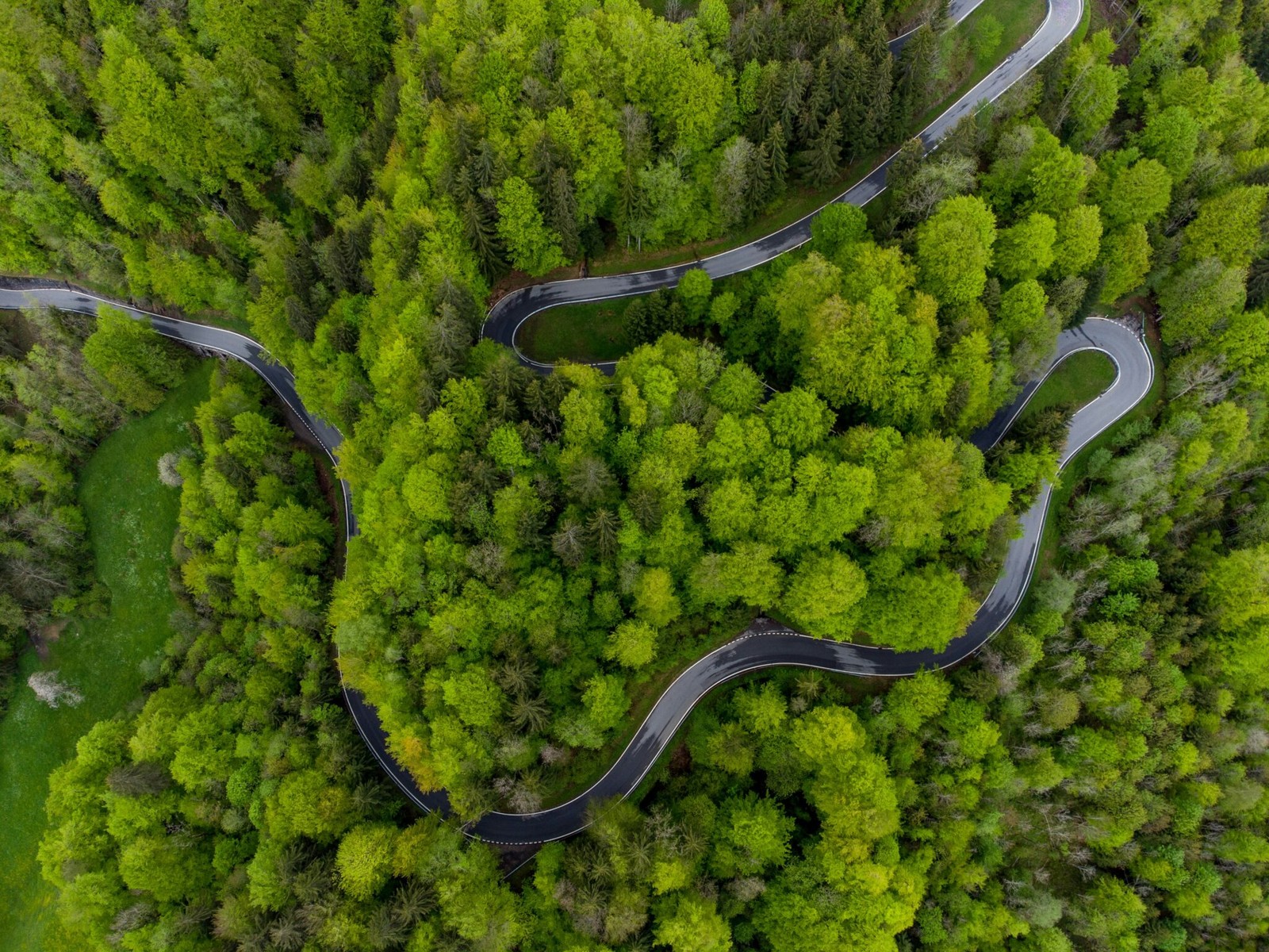 OZE ma znów pod górkę. Elektrownie spalające biomasę w Polsce będą miały sporo problemów