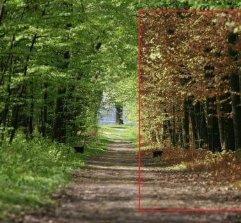 retusz zdjęcia - zmiana kolorów