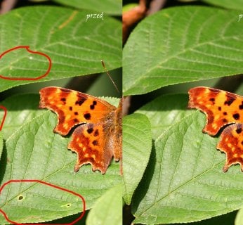 retusz zdjęcia pędzlem korygującym