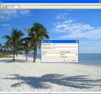 Program Hide In Picture