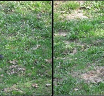 Zastosowanie funkcji Stamp