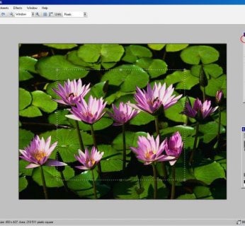 Zaznaczanie obaszaru na zdjęciu