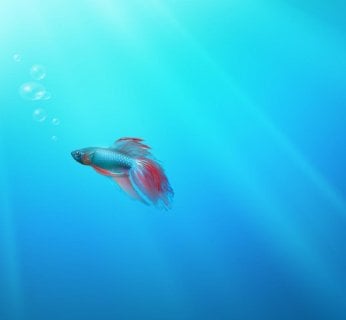 Tryb XP: Nasze stare programy bez problemu uruchomimy w Windows 7 za pośrednictwem Paska zadań Windows XP.