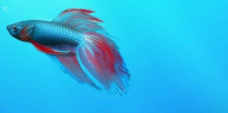 Jak zainstalować Windows 7 krok po kroku!