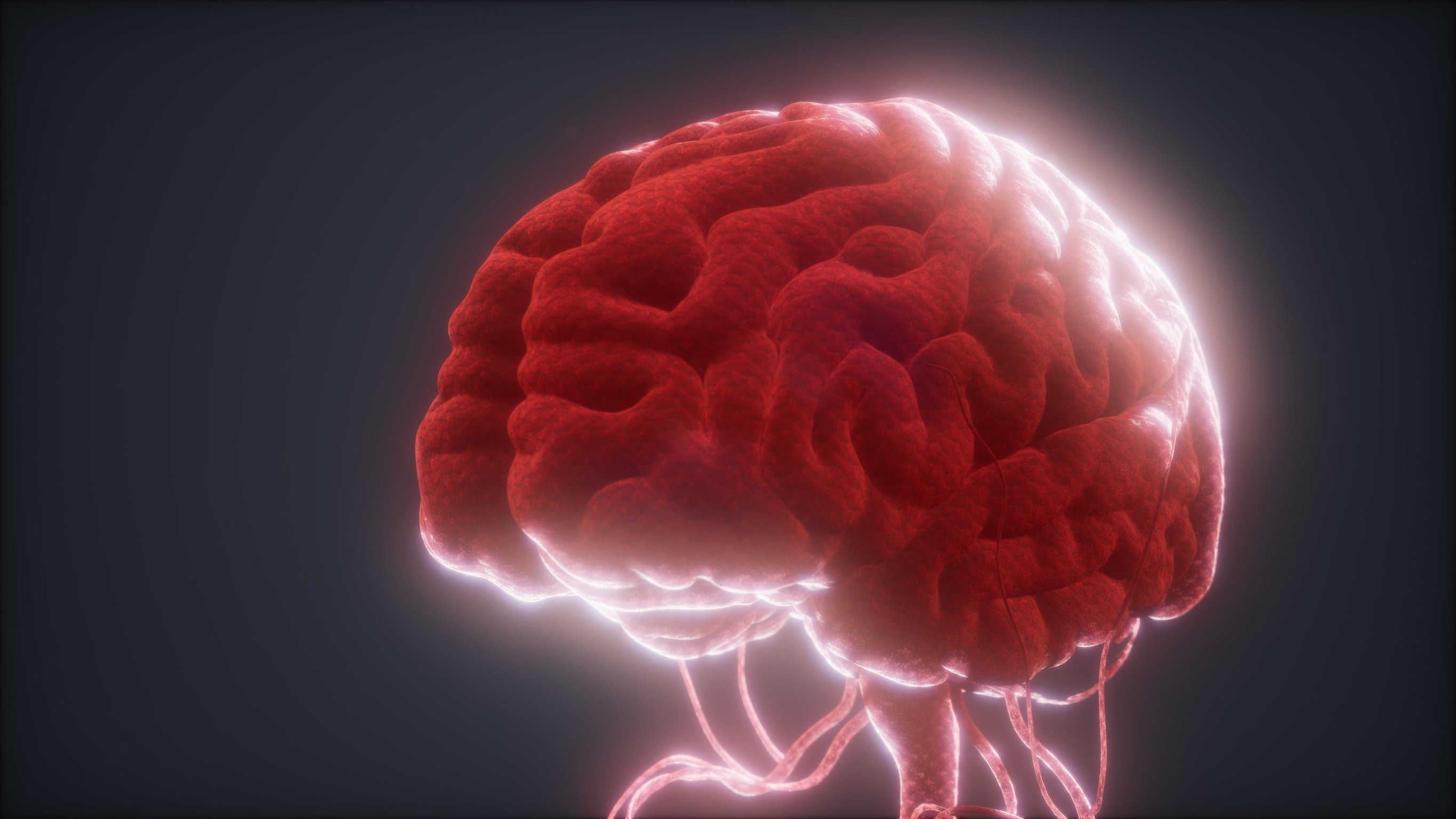 Żywe neurony zamiast czystego krzemu. Pierwsze poza Australią biologiczne centrum danych