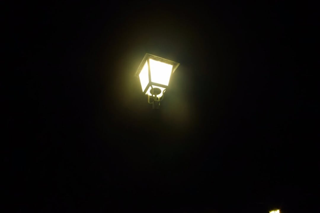 Co ci Chińczycy znowu zmajstrowali? Zamiast stawiać lampy uliczne, chcą je sadzić