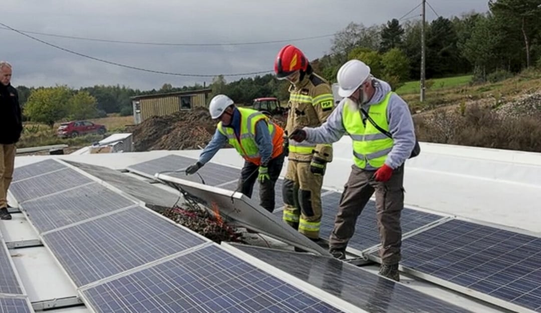 Panele słoneczne nie boją się tylko pogody. Nowe zagrożenie może pogrążyć całą instalację