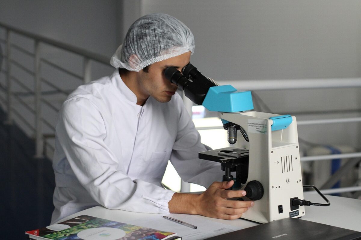 Pozory mylą pod mikroskopem. Laboratoryjne modele embrionów nie odpowiadają komórkom prawdziwego zarodka
