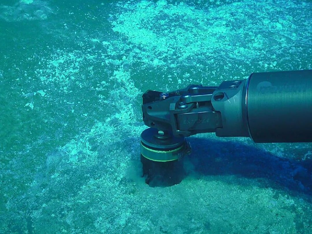 Mikroorganizmy kształtują dno oceanów. Ich prawdziwa rola jest niesamowita